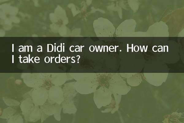 Soy propietario de un coche Didi. ¿Cómo puedo tomar pedidos?