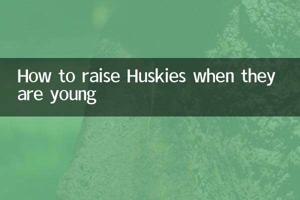 जब हस्कीज़ छोटे हों तो उनका पालन-पोषण कैसे करें
