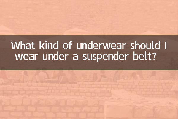 Che tipo di biancheria intima dovrei indossare sotto il reggicalze?