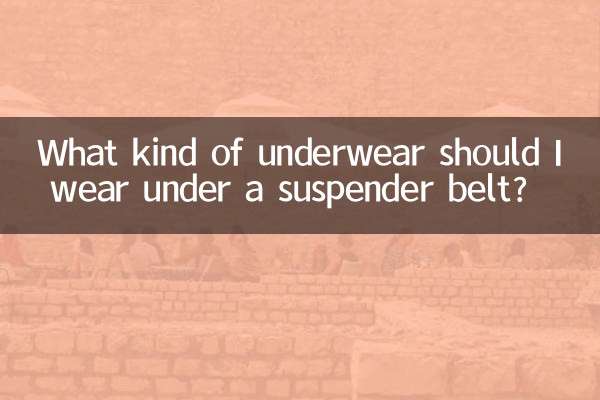 Che tipo di biancheria intima dovrei indossare sotto il reggicalze?