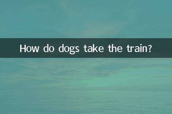 Como os cães pegam o trem?