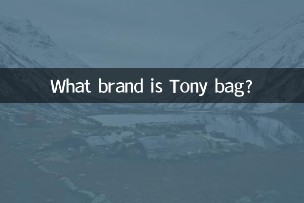Di che marca è la borsa Tony?