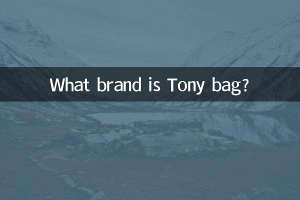 Di che marca è la borsa Tony?