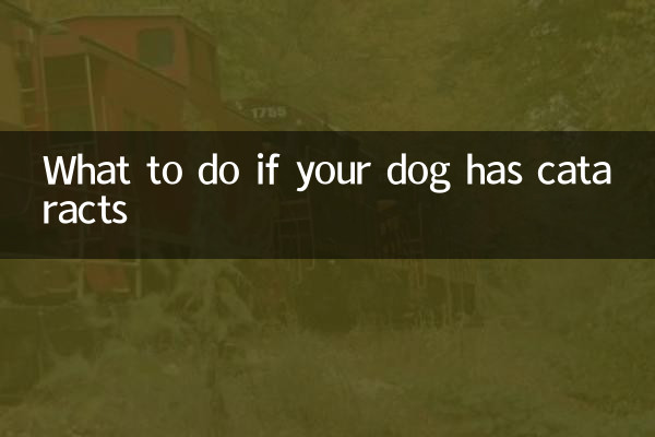 ماذا تفعل إذا كان كلبك يعاني من إعتام عدسة العين