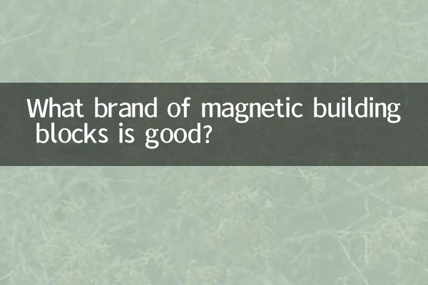 Quale marca di mattoncini magnetici è buona?