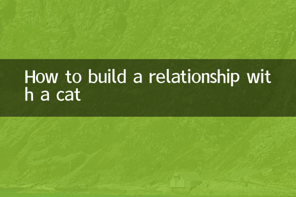 猫との関係の築き方