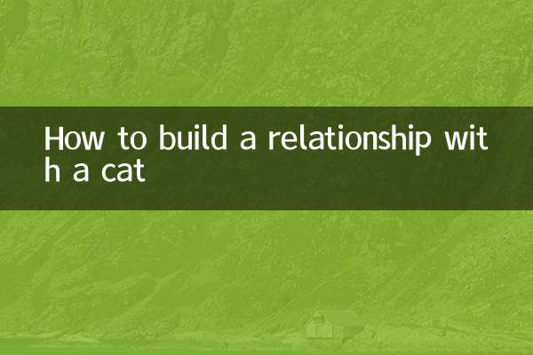 কিভাবে একটি বিড়াল সঙ্গে একটি সম্পর্ক গড়ে তুলতে