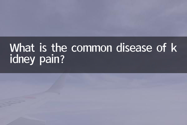 किडनी दर्द की आम बीमारी क्या है?