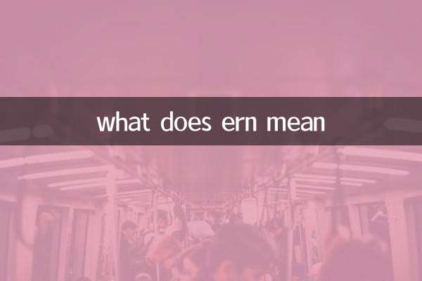 o que significa ern