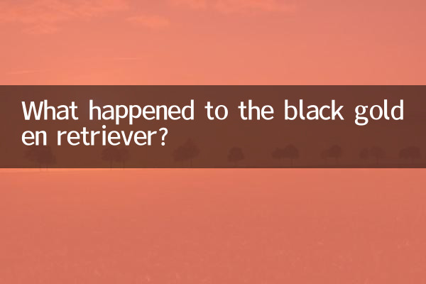 Что случилось с черным золотистым ретривером?