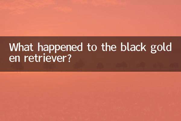 黑金毛怎么回事