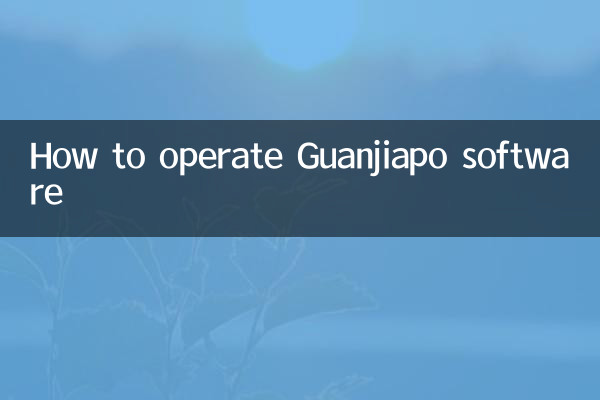 Guanjiapo 소프트웨어 작동 방법