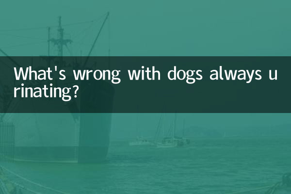 Was ist los mit Hunden, die immer urinieren?