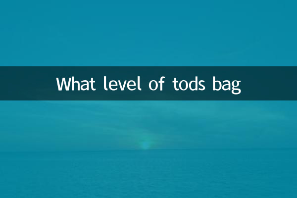 Che livello di borsa TODS