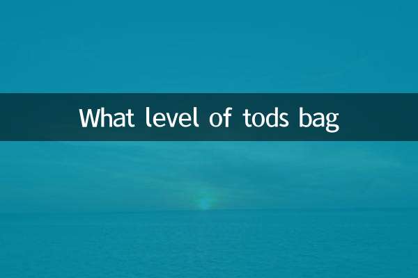 Che livello di borsa TODS