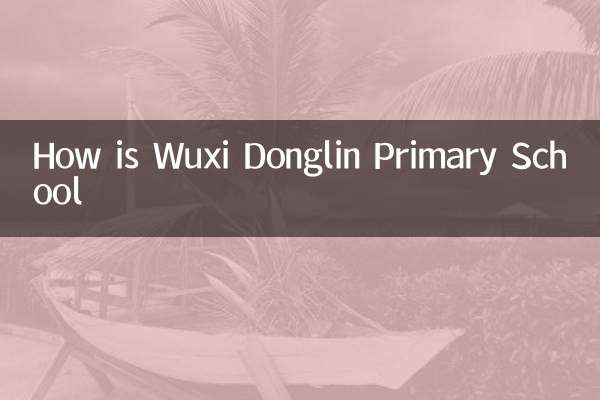 Com'è la scuola elementare Wuxi Donglin
