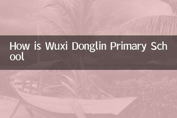 Com'è la scuola elementare Wuxi Donglin
