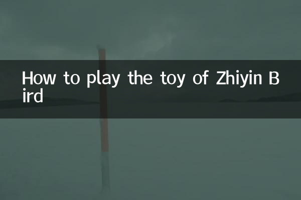 Wie man das Spielzeug von Zhiyin Bird spielt