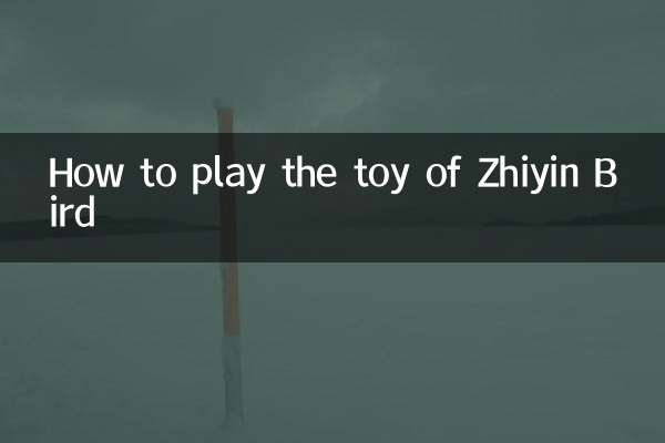 Zhiyin Bird의 장난감을 연주하는 방법