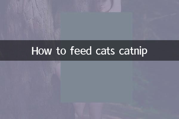 نحوه تغذیه گربه ها catnip