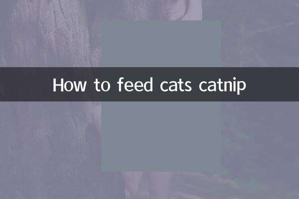How to feed cats catnip