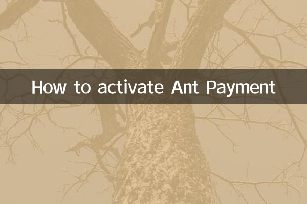 So aktivieren Sie Ant Payment