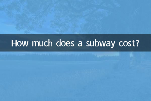 How much does a subway cost?