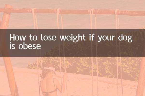 How to lose weight if your dog is obese