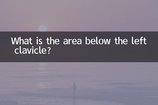Qual è l'area sotto la clavicola sinistra?