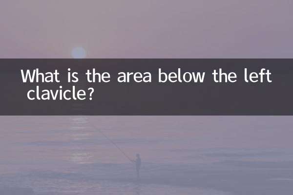 Qual è l'area sotto la clavicola sinistra?