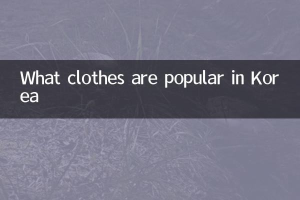 韓国で人気の服は何ですか