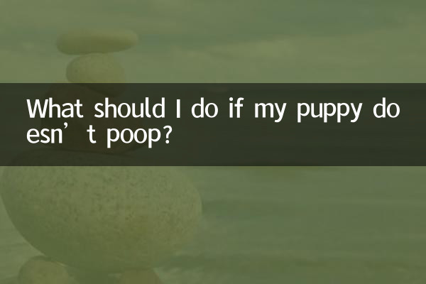 ماذا علي أن أفعل إذا كان جرو لا يتبرز؟