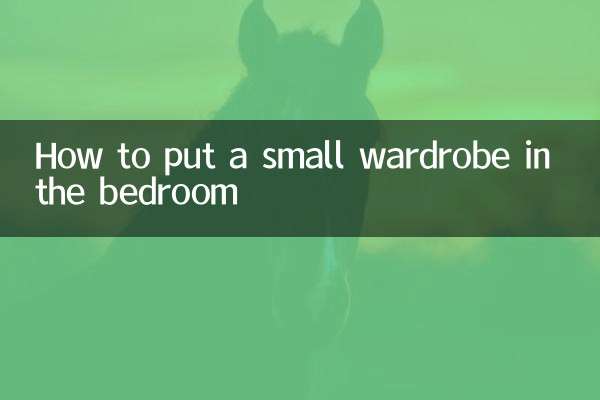 Cómo poner un pequeño armario en el dormitorio.