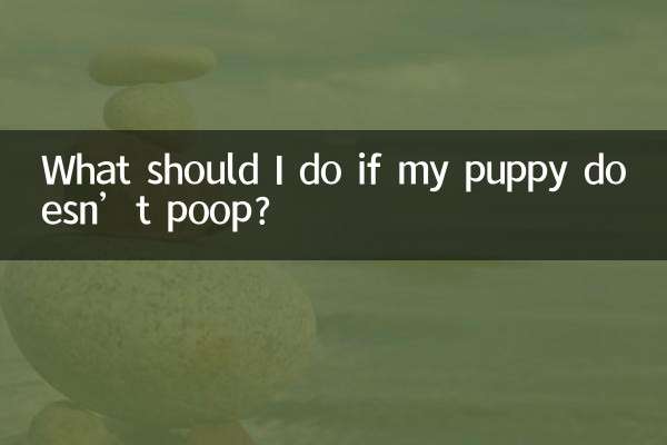 What should I do if my puppy doesn’t poop?