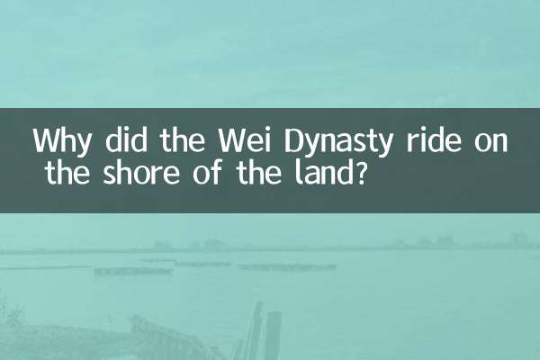 वेई राजवंश भूमि के तट पर क्यों सवार हुआ?