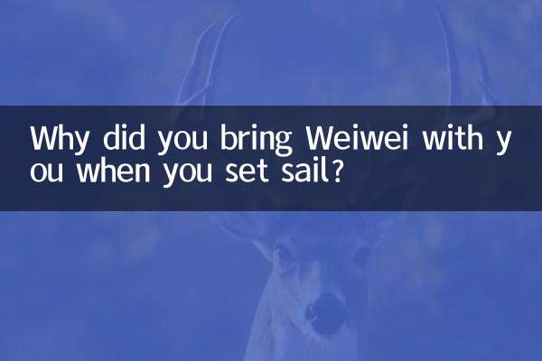 Warum hast du Weiwei mitgebracht, als du in See gestochen bist?