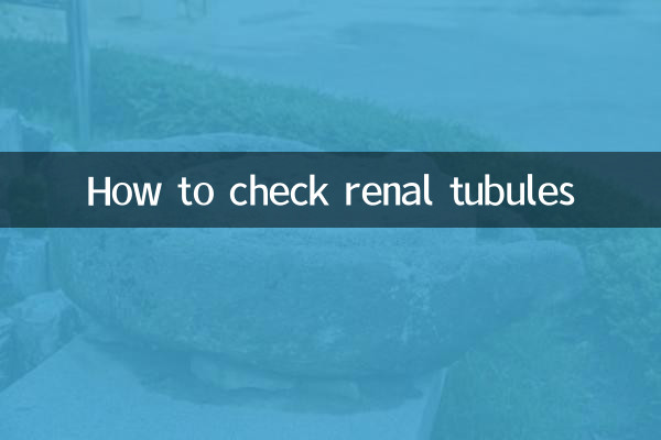 Como verificar os túbulos renais