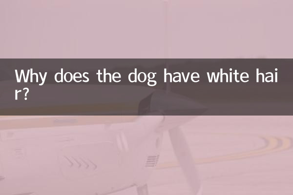 Почему у собаки белая шерсть?