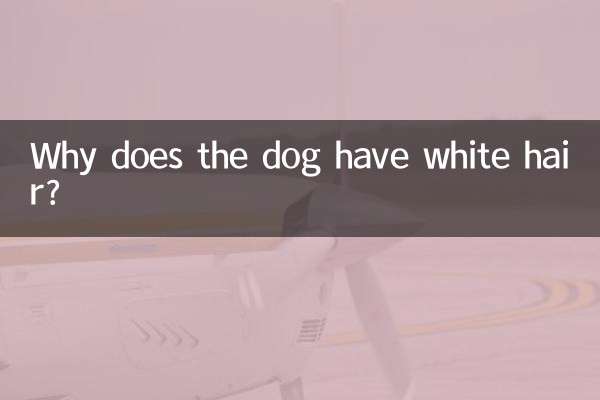 Почему у собаки белая шерсть?