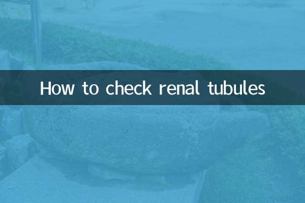 So überprüfen Sie die Nierentubuli