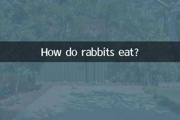 兔子怎麼吃東西