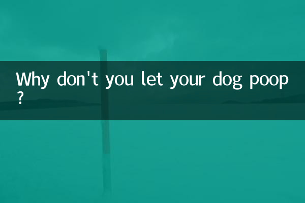 怎麼不讓狗狗亂拉粑粑