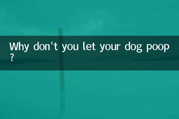 怎麼不讓狗狗亂拉粑粑