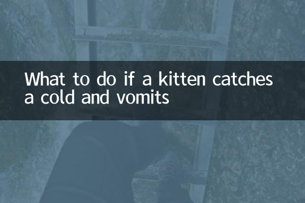 O que fazer se um gatinho pegar resfriado e vomitar