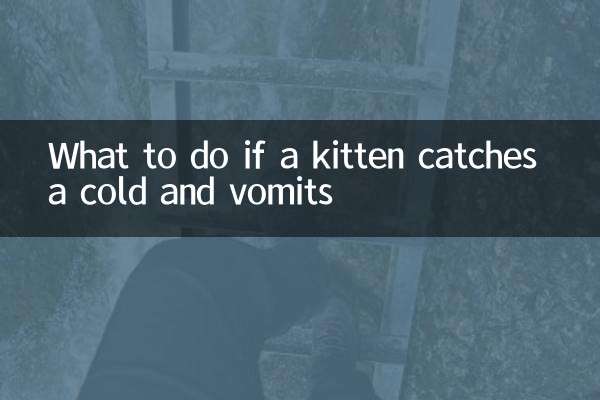 O que fazer se um gatinho pegar resfriado e vomitar