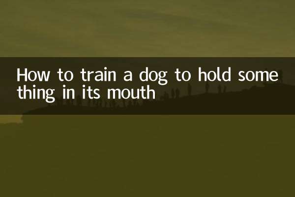 Come addestrare un cane a tenere qualcosa in bocca