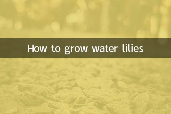 কিভাবে জল লিলি বৃদ্ধি