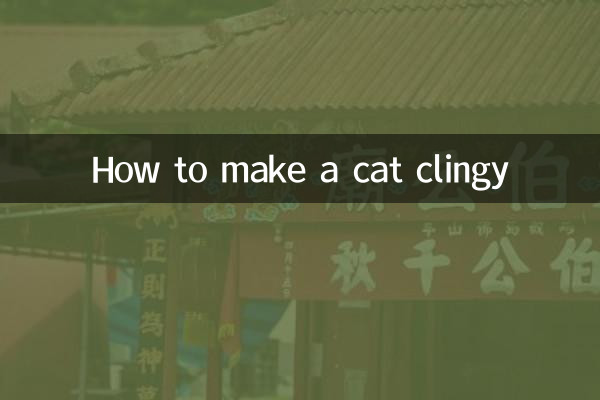 How to make a cat clingy
