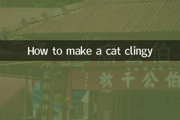 How to make a cat clingy
