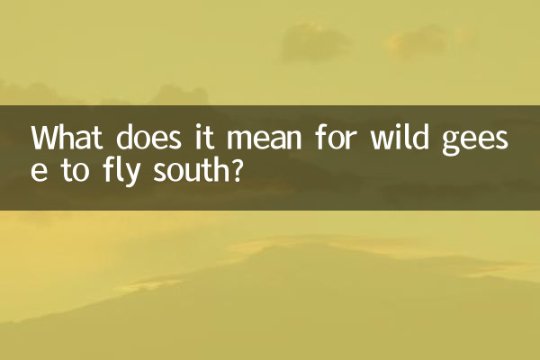 大雁南飞是什么意思